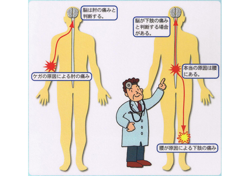 原因不明の慢性的な疾患はなぜ起こる？